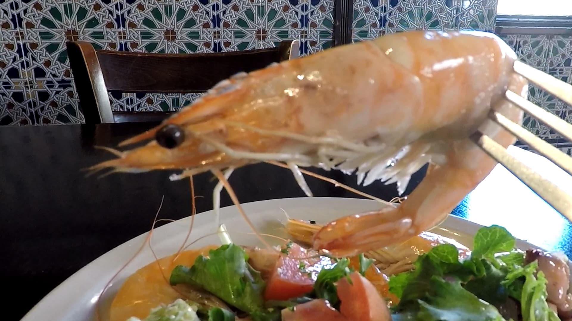 Giant Cooked Shrip at Cava Restaurant in Little Havana, Miami, Florida